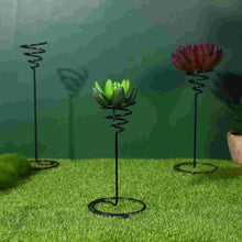 Charger l&#39;image dans la galerie, Support pour plantes en spirale, support d&#39;air, fleur Tillandsia, affichage de plantes d&#39;intérieur en fer forgé
